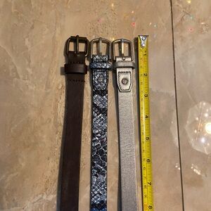 3 Stylish Blue Snake Print, Brown, and Silver Belts